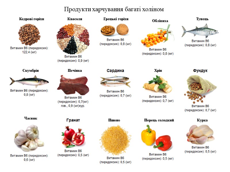 Продукти харчування багаті холіном  Кедрові горіхи Квасоля  Грецькі горіхи Обліпиха  Тунець